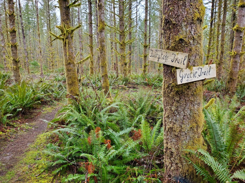Ravensdale Retreat Natural Area — Washington Trails Association